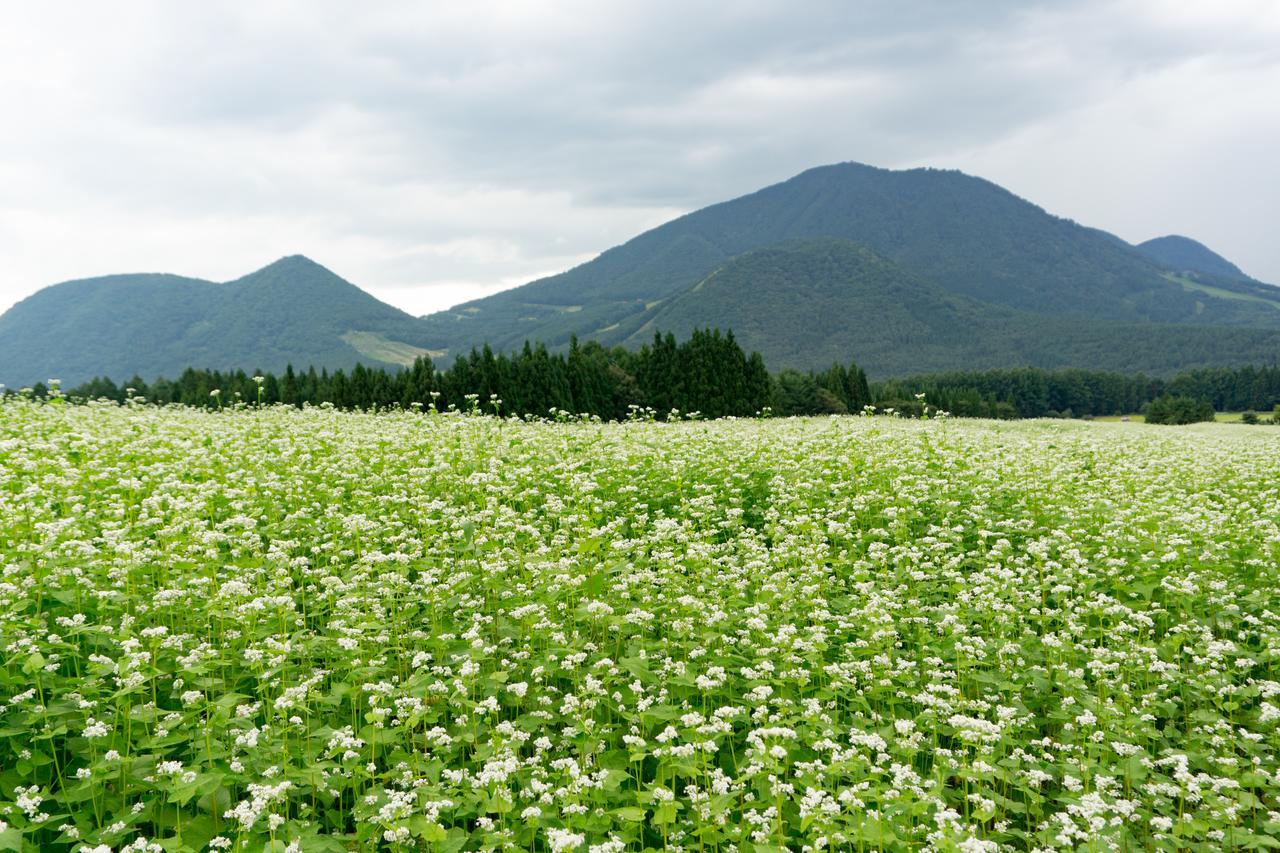 Aibiya Bed & Breakfast Yamanouchi  Dış mekan fotoğraf